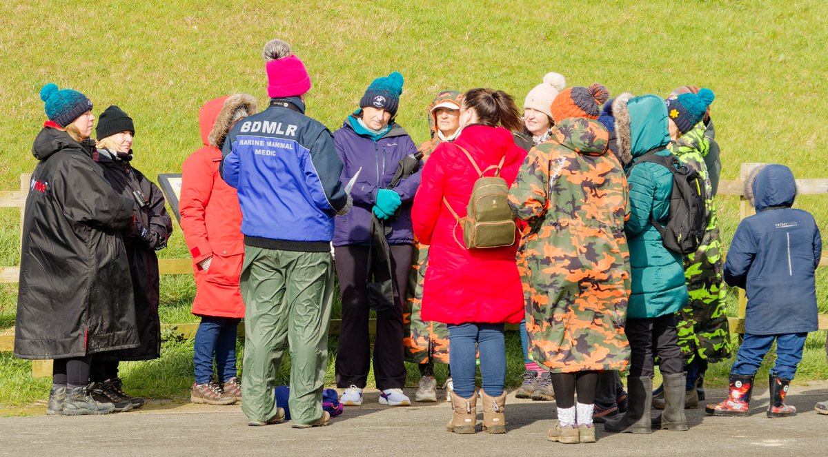 The Seaton Carew Sea Swimmers from Hartlepool recently joined us at the Seal Sands to learn about the history of our seals at the Seal Sands. We were joined by the BDMLR Area Coordinator who also shared great facts on our colony of Common and Grey Seals. bdmlr.org.uk/what-to-do-if