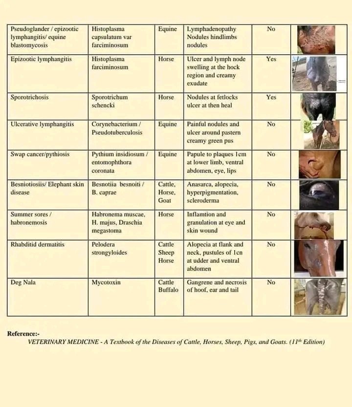 HalfBakedVet's tweet photo. 💥Diseases associated with skin 📒
📌Today study task!
✍️Click on images for better resolution.
#veterinary #vetmed #dvm #vets https://t.co/3KahA1GEXo