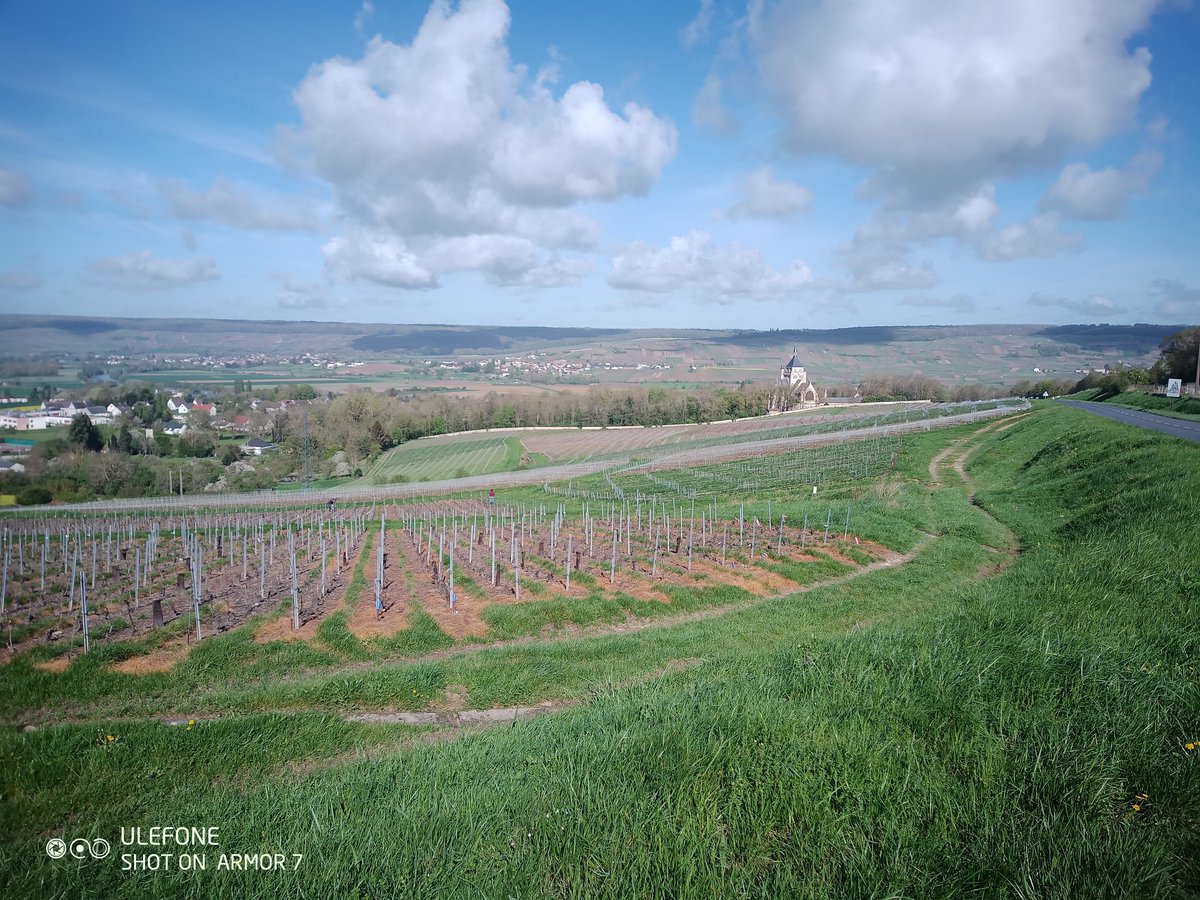 Ce matin c'était confusion sexuelle 
NON pas pour nous 🫣
#FrAgTw 
<a href="/SGVChampagne/">SGV Champagne</a> 
<a href="/LaMarneViticole/">La Marne Viticole</a>