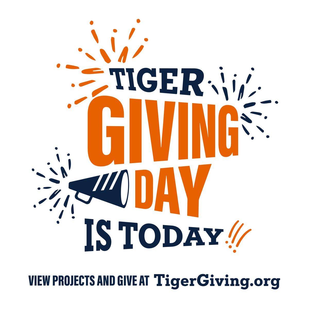 Today is #TigerGivingDay! This year, we have three special engineering projects: Auburn Robotics Club, Engineers Without Borders and War Eagle Motorsports. Your support of these student-led organizations will make a direct, lasting impact.

rise.auburn.edu