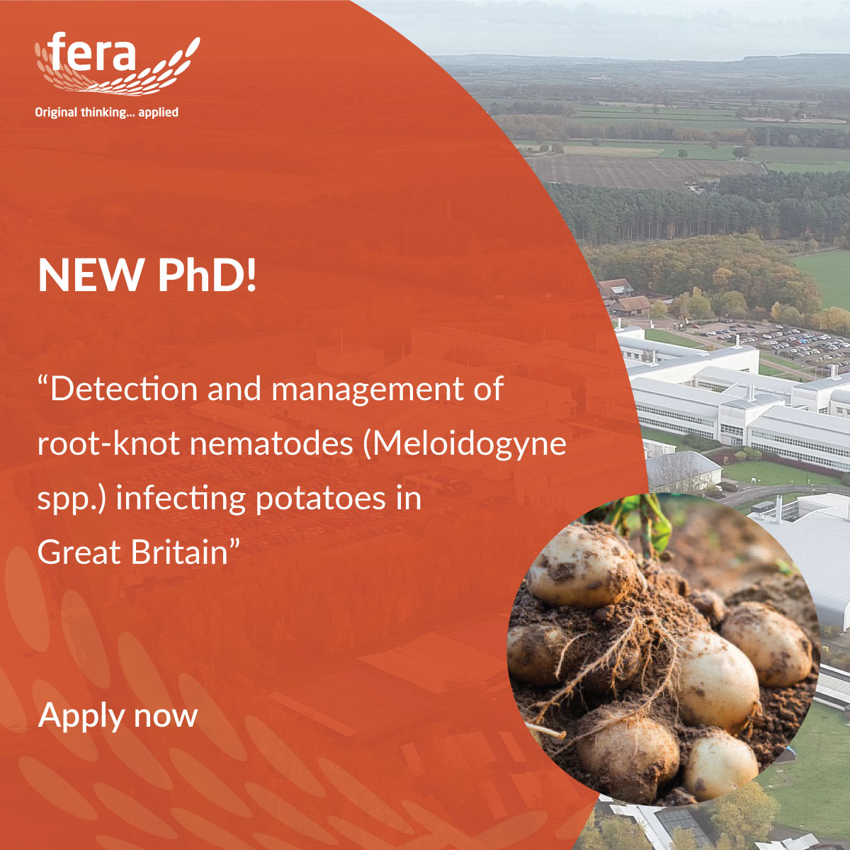 Fera Science, is proud to announce we have another new exciting #PhD opportunity in partnership with Harper Adams University! 🥔If you, or know someone who is interested in the PhD below, click here for more information > hubs.ly/Q02snV180 #careers #research