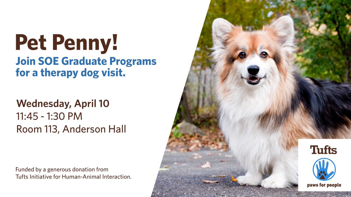 Stop by the School of Engineering Graduate Dean's Office today to visit Penny from Paws for People.