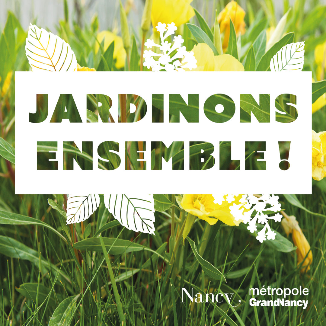 🔔🌱🌼 RDV ce vendredi 12/04 à 14h30 place Camille Cavallier pour une session de #jardinage collectif. Les jardiniers du @Grand_Nancy seront là pour vous guider. Sans inscription, il vous suffit de venir au rendez-vous et de penser à une tenue adéquate 😉. bit.ly/3J5aR81