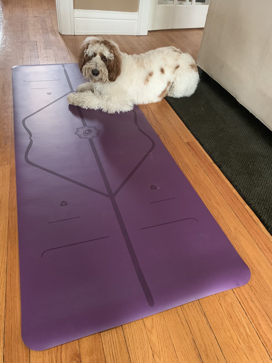 Jazzed about my new yoga mat.