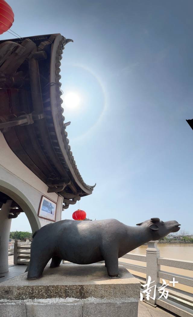 After several #rainy☔ days, the sun🔅 appears with a #halo in📍#Chaozhou. Halos are formed when the sunlight refracts through the ice crystals in the sky☁. Did you see🧐 it today? Please feel free to share any photos you took of the halo! (Photo: Lin Wenqiang)