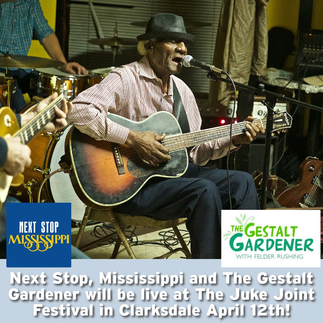This weekend join Next Stop, Mississippi and The Gestalt Gardener at The Juke Joint Festival in Clarksdale, MS!

Listen to their live broadcasts to learn about the over 30 Blues acts taking the stage over the four days.

📸 by Lou Bopp