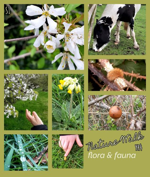 Chivenor Primary Updates 🌳 Forest School were lucky to find a pocket of sunshine this week and discover the beauty of nature on our doorstep 💚☀️