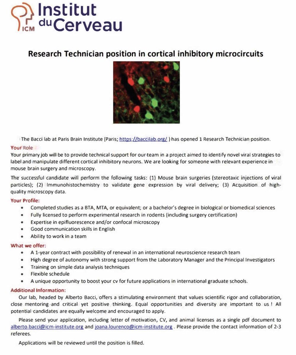 Come work with us! We are looking for a lab technician to join our team! If you’d like to work on exciting projects aimed to develop new strategies for histological and physiological assessment of cortical neurons in a stimulating, international environment, please apply 🧠