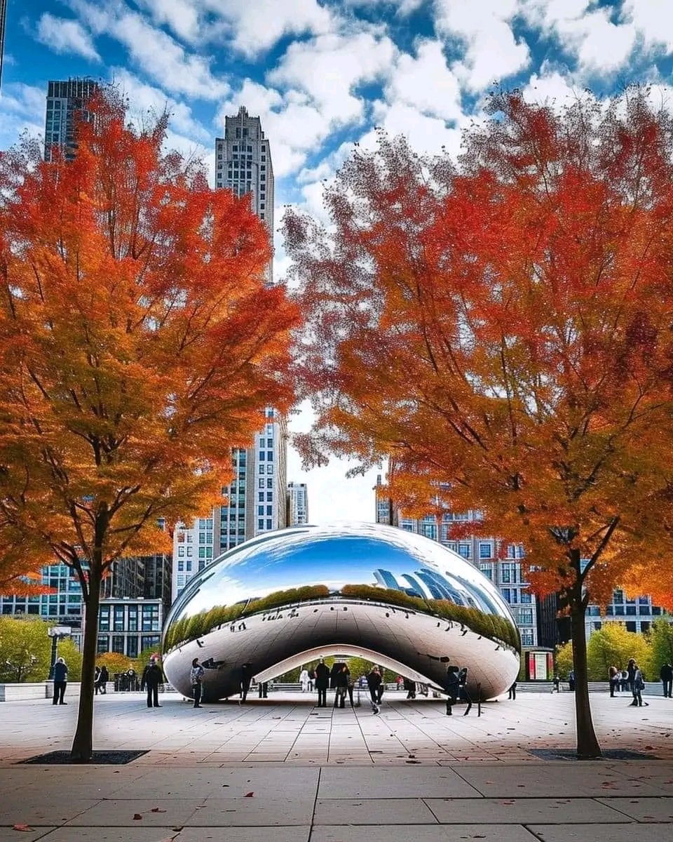 The Bean (Rosecoco), Chicago, USA🧡🇺🇲✴️