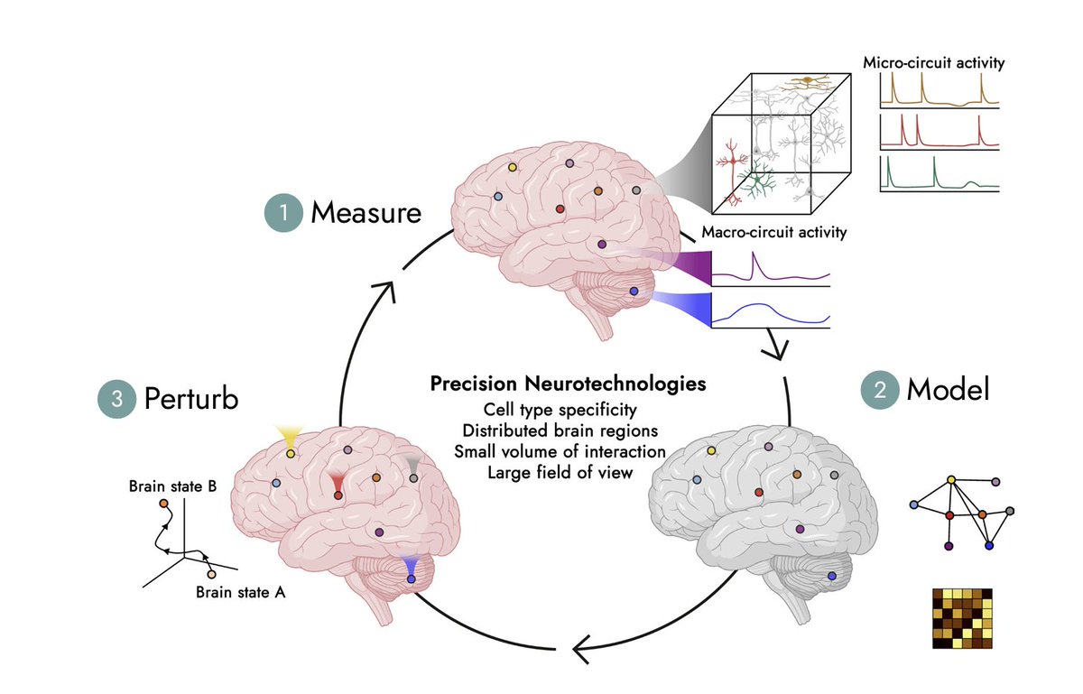 I'm hiring a technical specialist to be my right hand person in running the programme. Looking for expertise in neuroengineering/systems-neuro/bioengineering, across academia and/or industry. 

If you are interested, or know someone who might be,  please checkout the link below👇