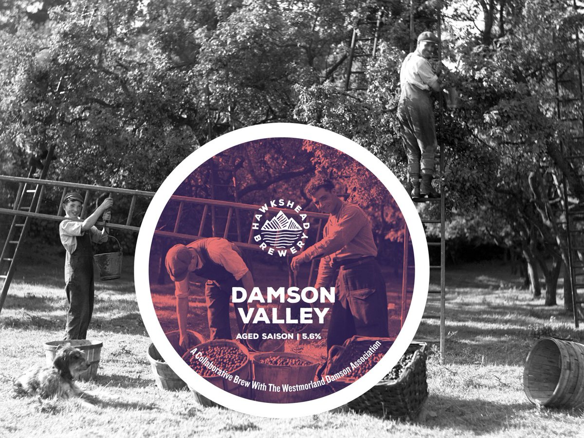 We’re celebrating Damson Day with the release of a Damson Saison. You’ll find the beer pouring at the Beer Hall and in a handful of venues on the day. If you’re in the North East one is settling in cask at the @nclbcf, with another at the Westmorland Damson Association Day.