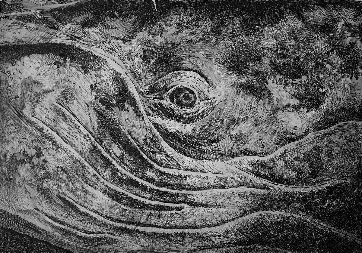 드디어 완성~~! 벽에 붙여두니 고래 옆에 있는 느낌이네요.😊 

손그림이라 과정영상 편집중...⚙️