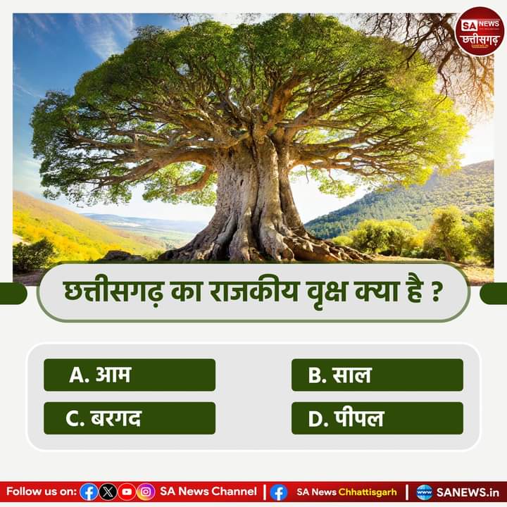 #PollOfTheDay
छत्तीसगढ़ का राज्य वृक्ष क्या है?
(a) आम
(b) साल
(c) बरगद
(d) पीपल
अपना उत्तर हमे कमेंट बॉक्स में बताए !

#quiz #questionschallenge 
#SANewsChannelCG #sanewschhattisgarh #sanewschannel