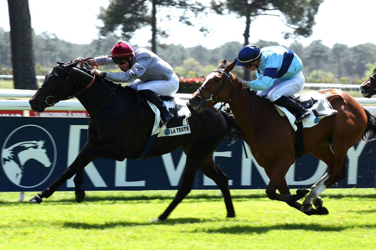 🥇 Homebred SAFWAN strikes again One more victory for the E Monfort-trained 3yo who scores over 9f at @HippoLaTeste with F Veron onboard. Raised at #harasdebouquetot, SAFWAN is by Wootton Bassett & Al Mayhola, a regally-bred winning daughter of Sea The Stars