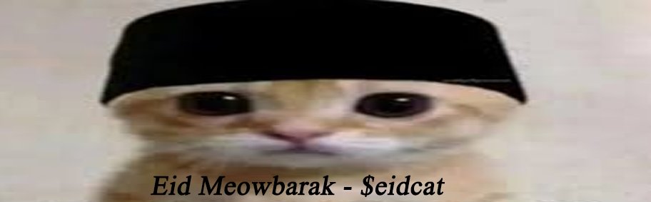 Meow Barak tweet media