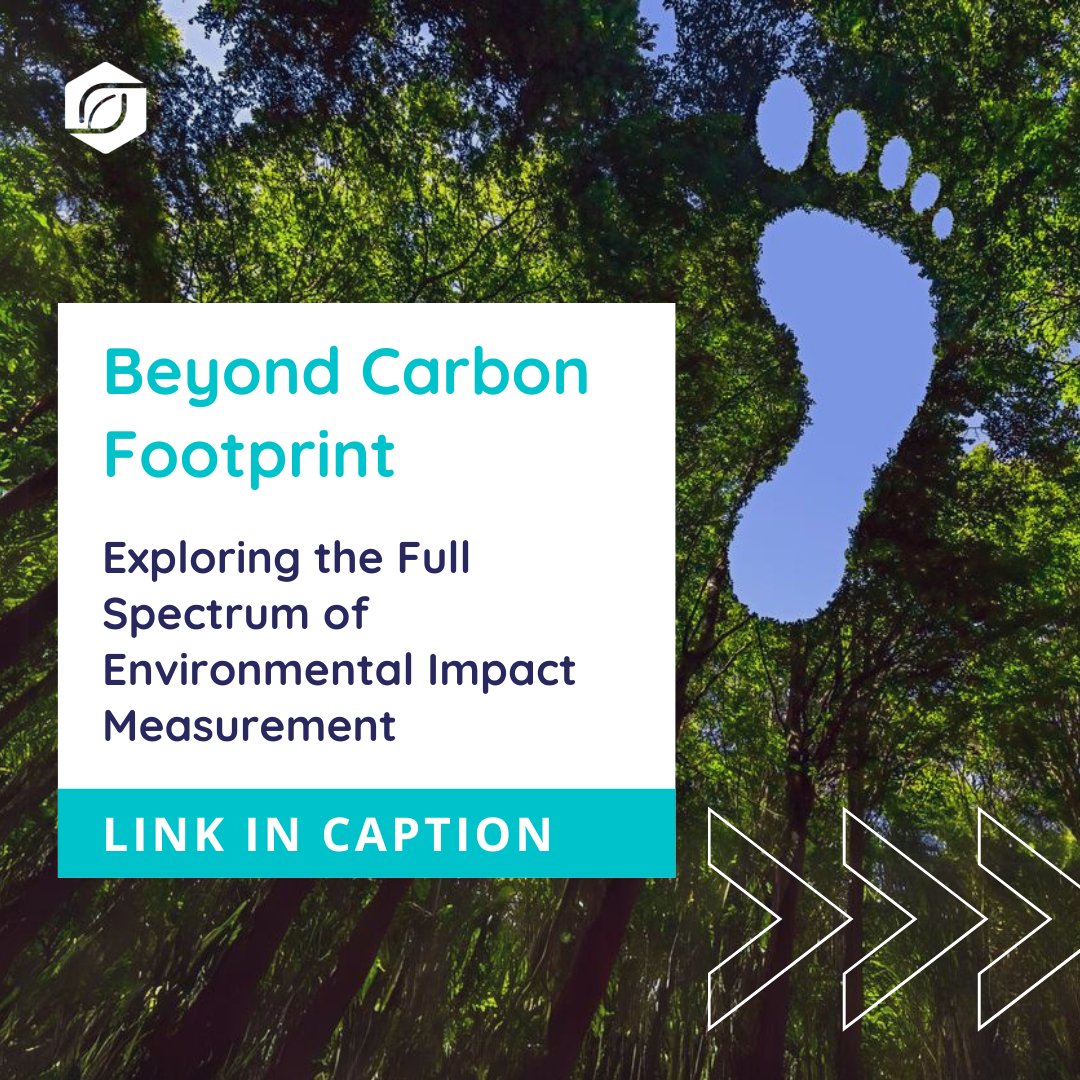 What are the environmental impacts beyond Carbon Footprint? Read our blog here - sociallab2018.medium.com/beyond-carbon-…

#sociallab #carbon #carbonfootprint #carbonemissions #environmental #environmentblogger #environmentalimpact #impact #environmentalist