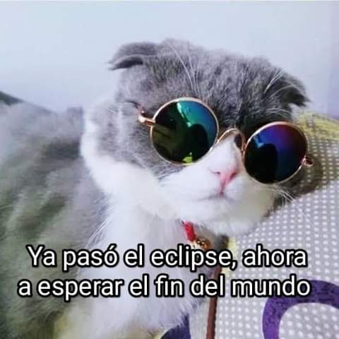 Los Aliens, el Armageddon, lo que sea!!!!!!😿😿🐾🐾🐾