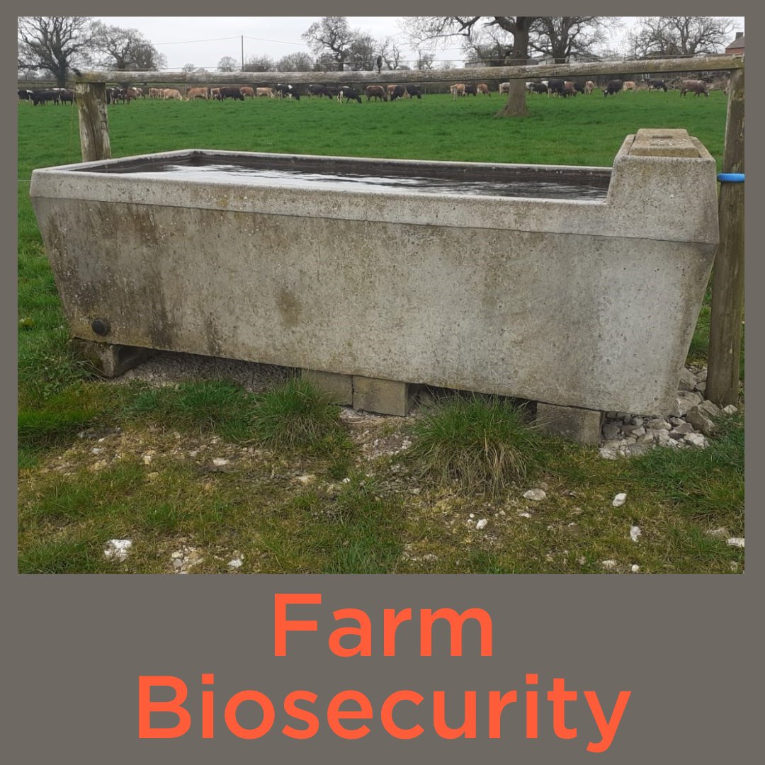 Our Farm Biosecurity course is designed to teach you about good biosecurity and what roles you and others play nationally and internationally to protect your farm and business.

For more information use the link below or in our bio:
farmiq.co.uk/course/farm-bi…

#farmiq #biosecurity