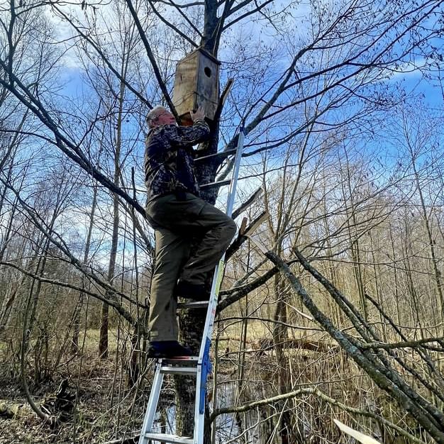 🏡 Help us give rare birds a home! The Chernobyl Biosphere Reserve needs your help to construct 30 nest boxes for endangered species. Your donation will create vital breeding habitats, ensuring the survival of these beautiful creatures 🌳🦜 👉 uanimals.org/en/zbir/for-30… Make a…