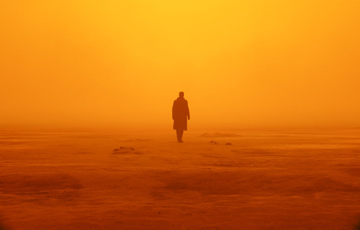 The Top 24 Most Beautiful Shots In Cinema History: 1/24 Blade Runner 2049