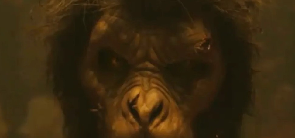 mascine_podcast's tweet image. En un ratito tenemos sorpresilla en el canal, con una crítica especial de un estreno de este finde #Monos