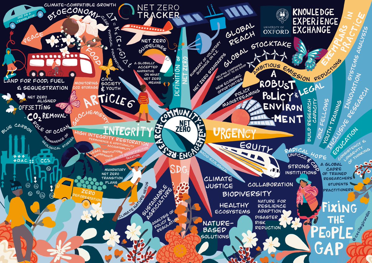 We asked Oxford-based artist and scientist @cecilegirardin to help us visualise what we do & stand for at Oxford Net Zero. And we are beyond delighted with the result! 👀 🌿 🌎 👏 netzeroclimate.org cecilegirardin.com