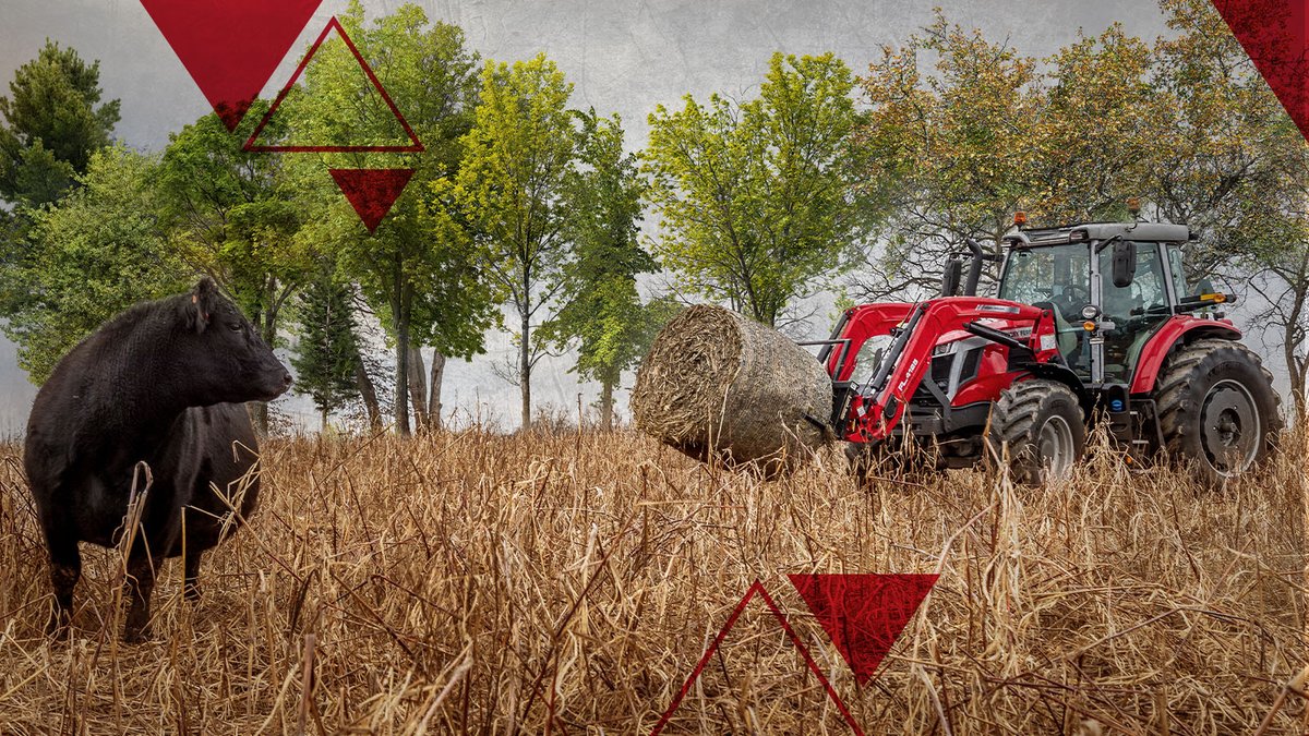 Your favorite farm animal 🤝 your favorite tractor. Learn how the MF 6S Series can help you take care of yours. bit.ly/3VI1DWE