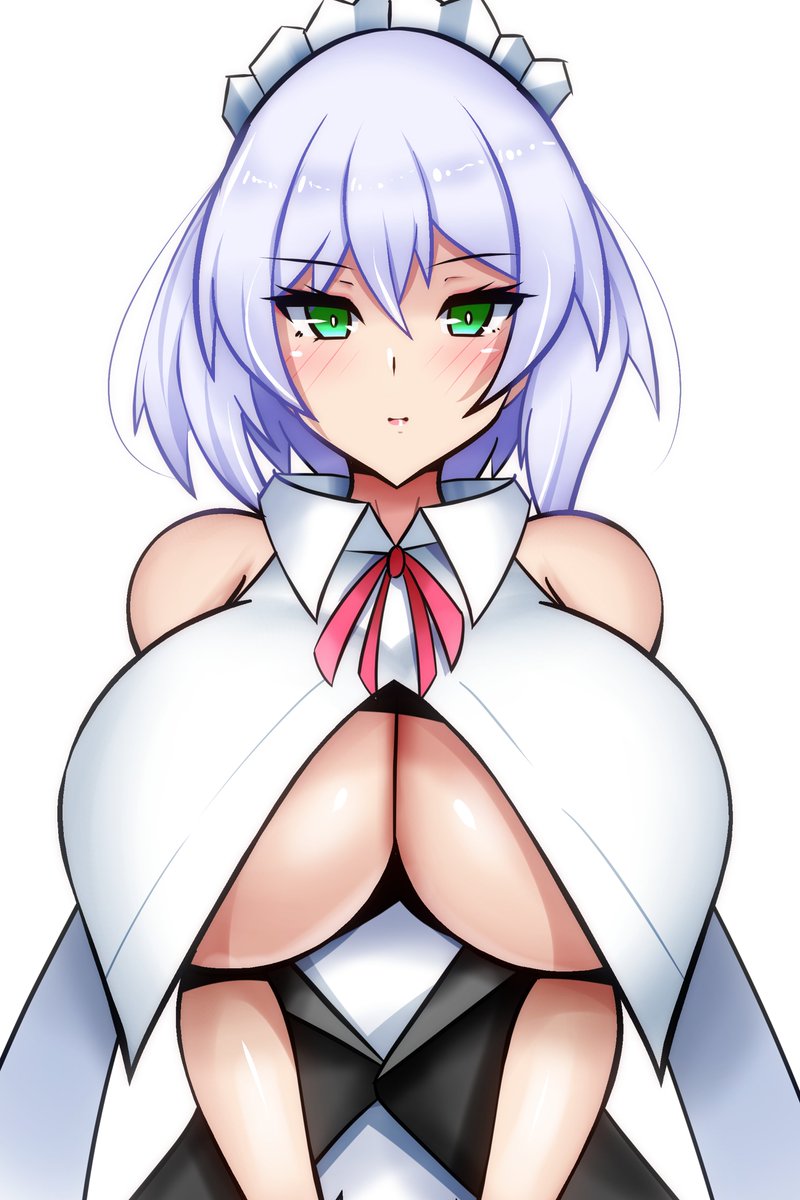 うちの子メイドのシエラさんです。
銀髪ジト目メイドは好きかい???
(あと陥没です) 