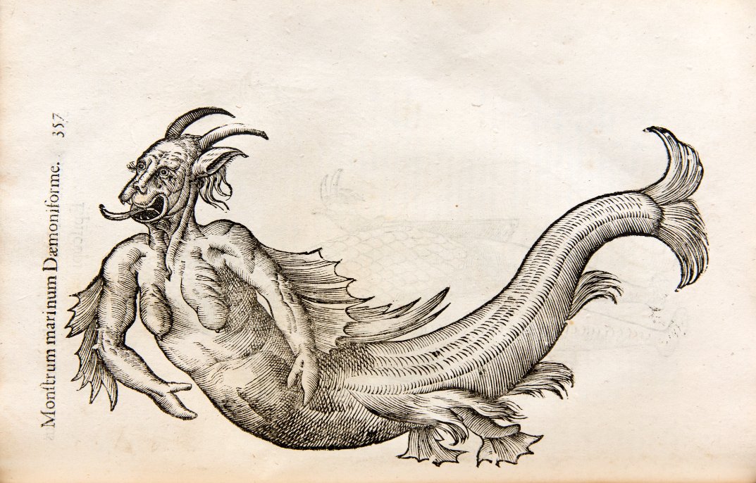 For #SomethingScary of #Archive30 we give you monsters! These images are from 'Monstrorum historia..' by Italian naturalist  Ulisse Aldrovandi (1522-1605)