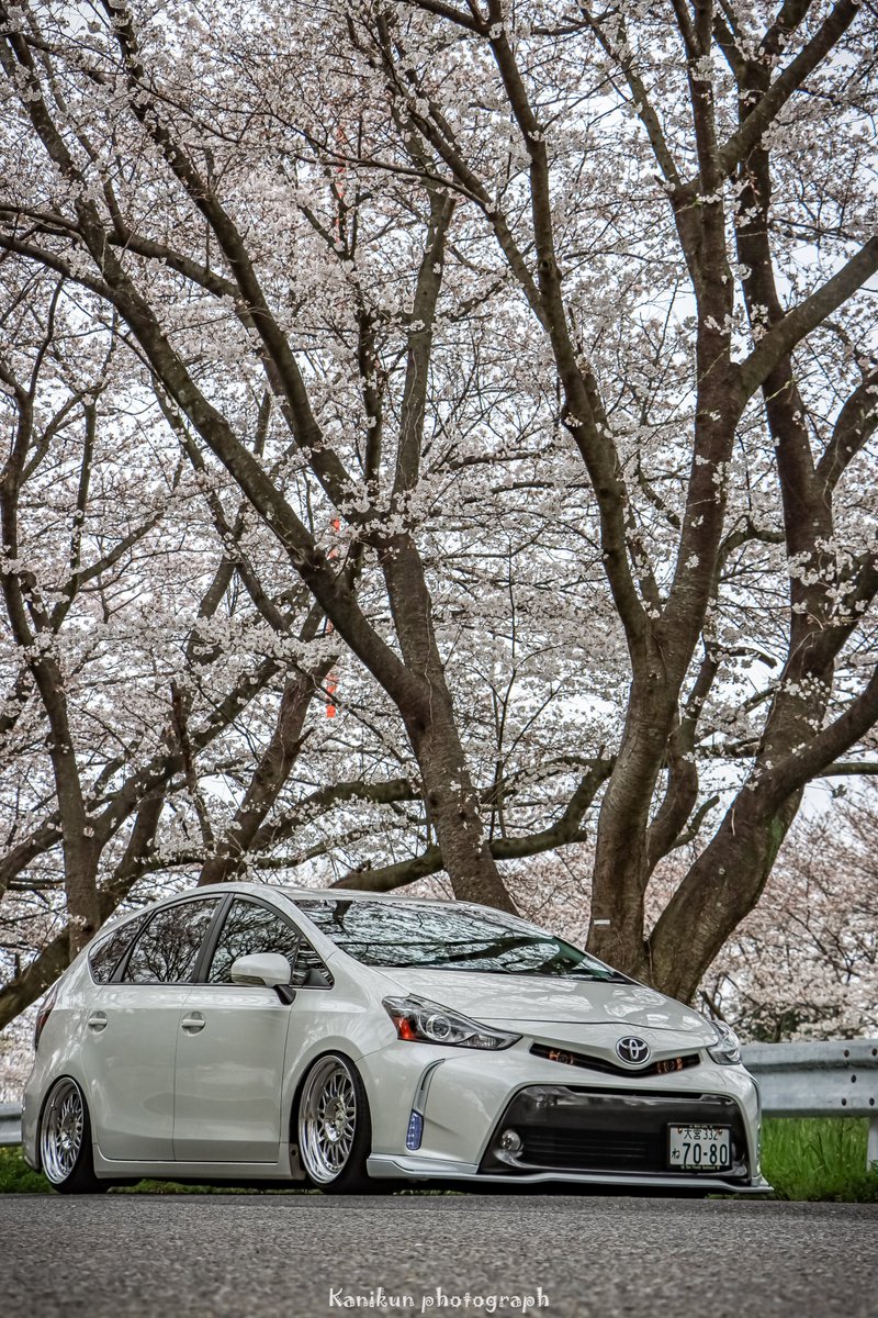 wani7080's tweet photo. #桜と愛車 https://t.co/KxptHhFZLR