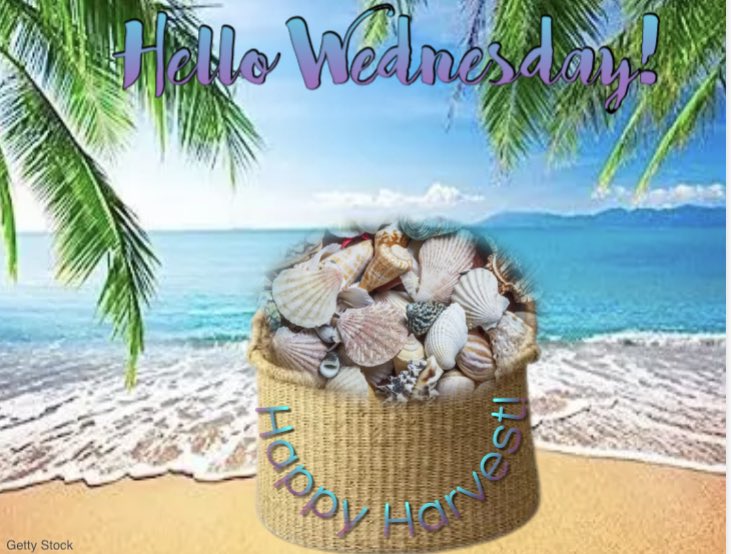 Have a spectacular Wednesday‼️😊 #bridgetenderinn #bradentonbeach #annamariaisland #happyhumpday #CheersToGoodFood #meetmeatthetender #PositiveVibesOnly