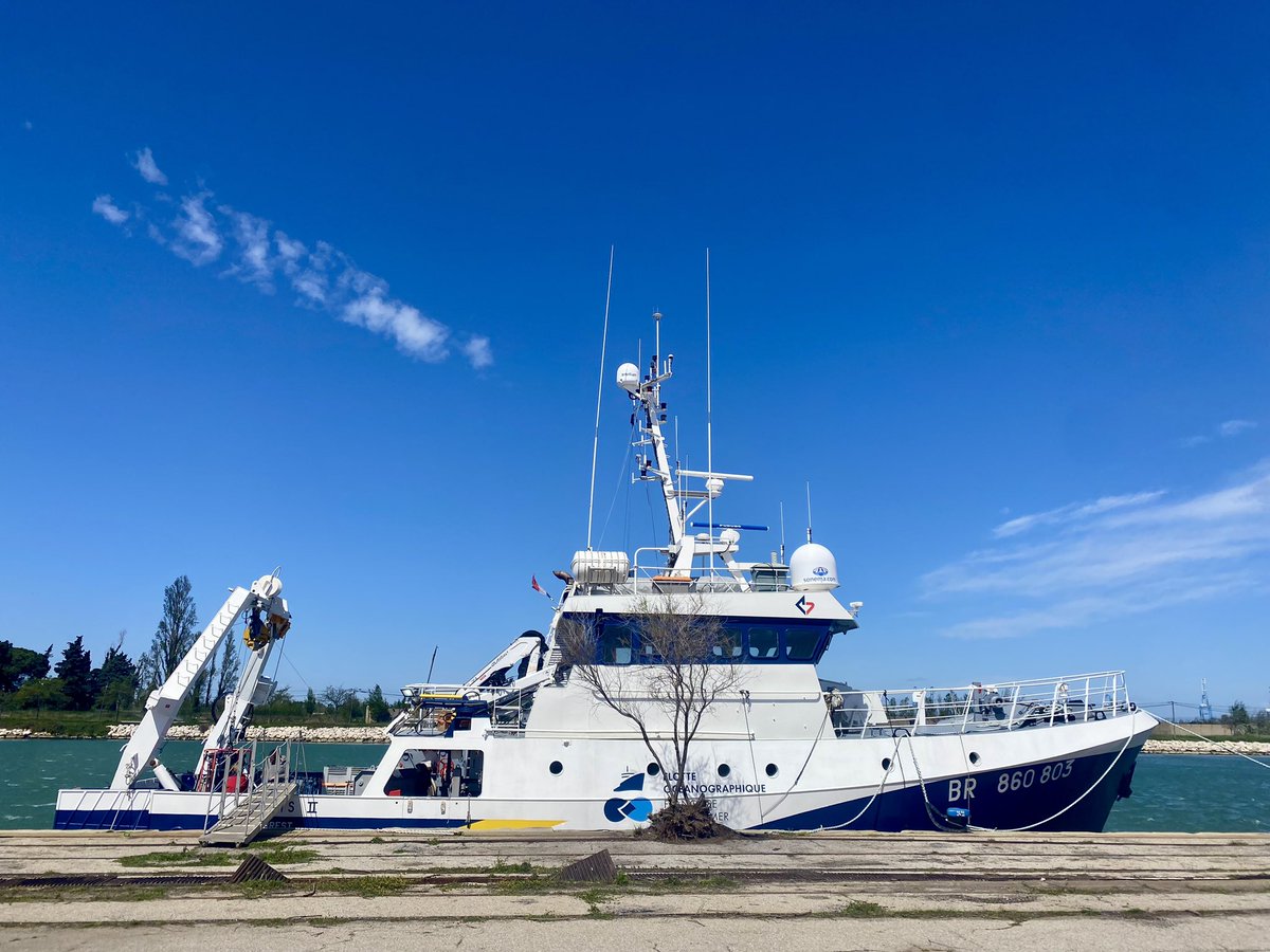 Dr Lars-Eric Heimbürger-Boavida tweet media