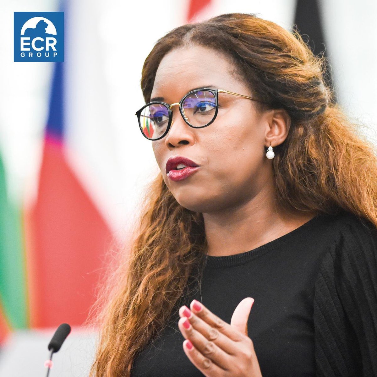 ❌ 'The Asylum & #Migration Pact doesn't do enough to stop the uncontrolled surge of human traffickers.' 🗣️ @Assita_Kanko MEP in #EPlenary @EP_Justice