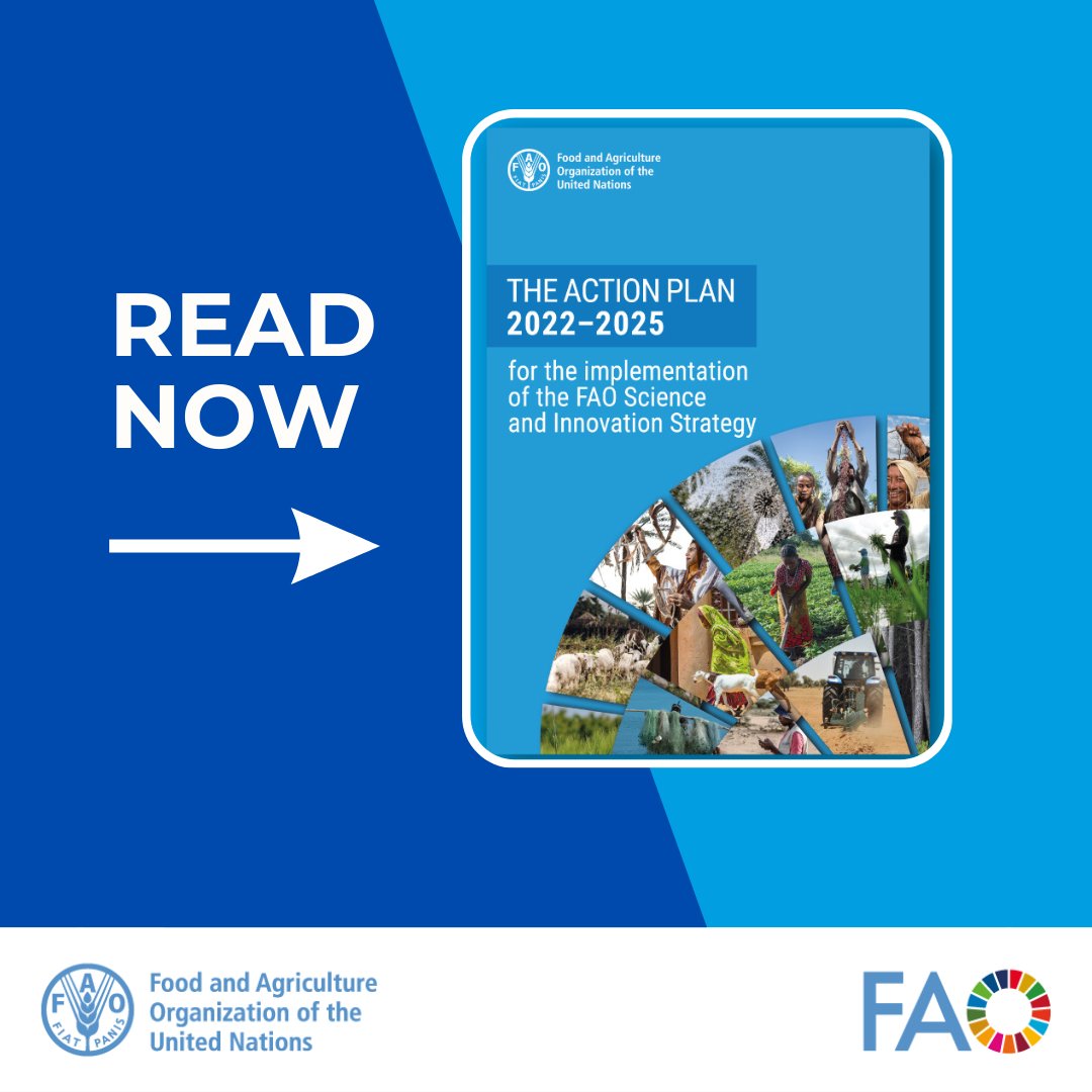 Take a look at the @FAO Action Plan 2022–2025 for the implementation of the FAO Science and Innovation Strategy. It provides a common framework for @FAO at all levels, linking outcomes to #SDG targets. You can read it now in English & French 👉bit.ly/3vuu8MW #INARC8