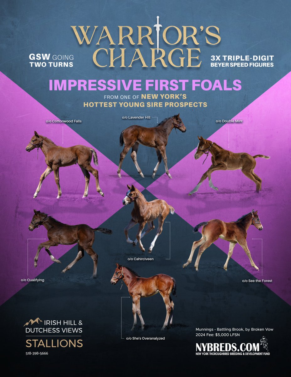 These first crop Warrior's Charge foals are ready to rumble!! Contact us today for your 2024 Season. @DutchessViews @IrishHillFarm @Tenstrikeracing @MadaketStables