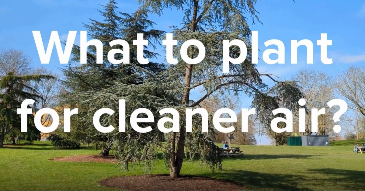 Do you know which trees and plants are the best to fight against air pollutions? @pk_shishodia, @Yendle_Barwise and @mamathatomson from the @AirPollSurrey explain which ones to pick and why in the video below. youtube.com/watch?v=-JKTzX…