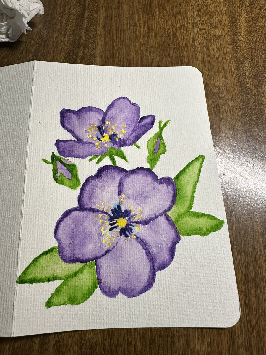 Well I painted my first violets. A gift for Frances 😍 I think they are beautiful and I can’t hardly believe that I painted them. I will post the copyright info in a bit. As you know, or do now, I don’t draw, this is a traced photo. It should go out in the mail in next few days