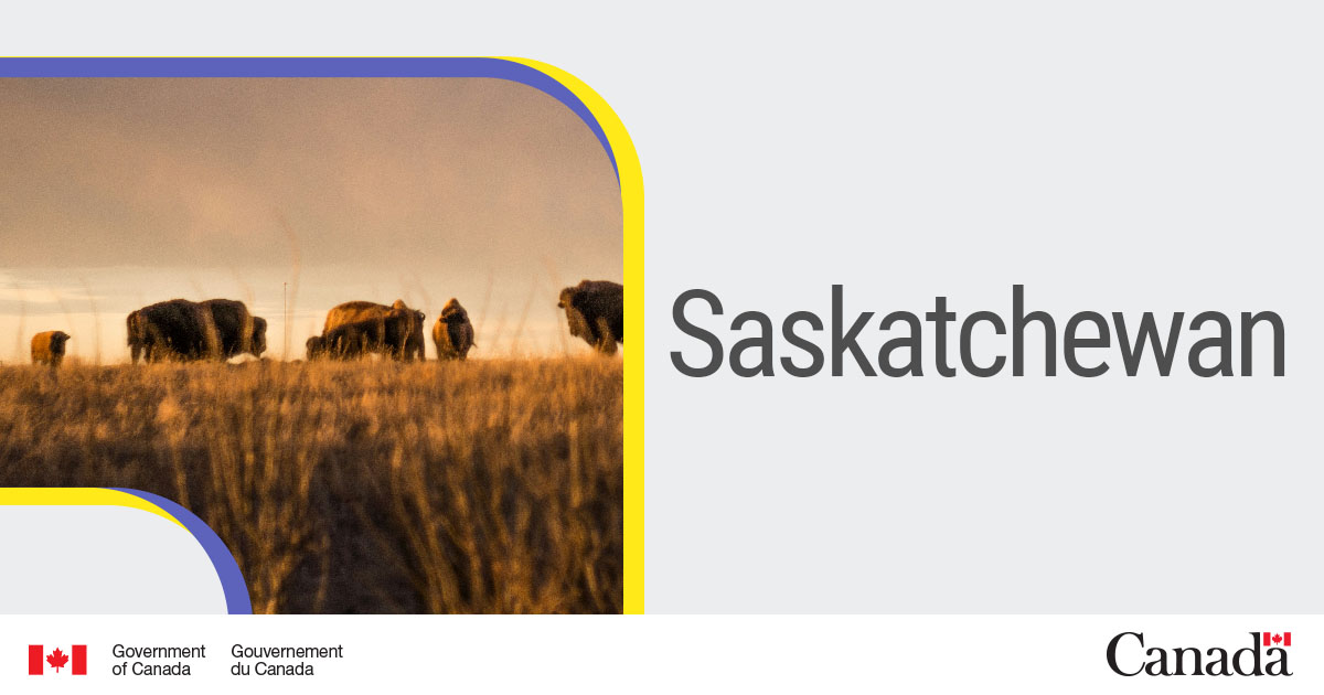 Join @InspectionCan as a supervisory veterinarian in Saskatchewan! Lead a team in ensuring food safety and animal health. Apply now: ow.ly/RlUR50R9wCe 🥩🌾 #CFIA #VeterinaryJobs #Saskatchewan