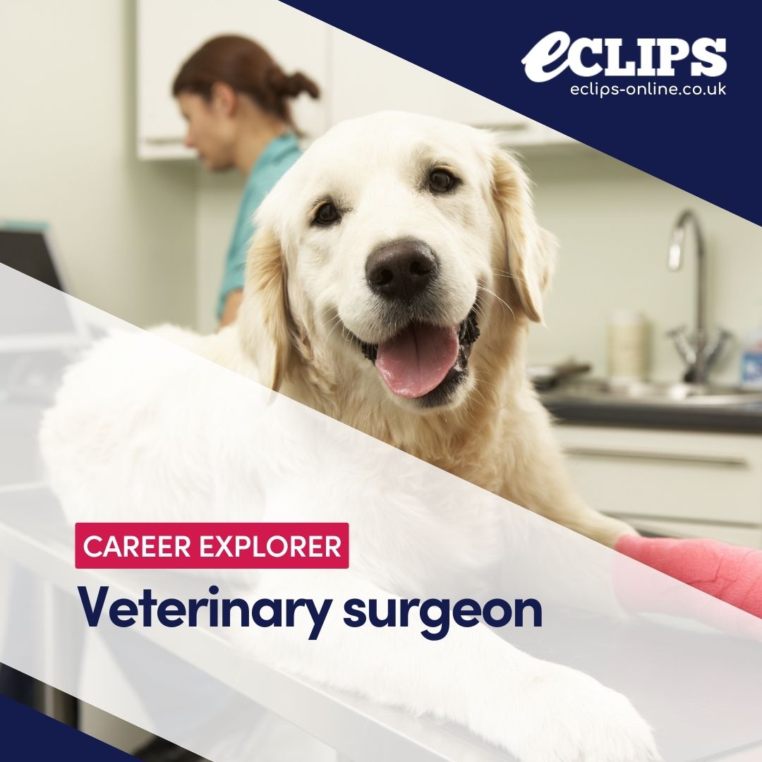 🩺🐶The veterinary profession is keen to recruit the right people regardless of their background, with initiatives to widen access to #veterinary school, including programmes to prepare students who lack the required A level subjects/grades.
👉Learn more:
eclips-online.co.uk/leaflet/HC_08