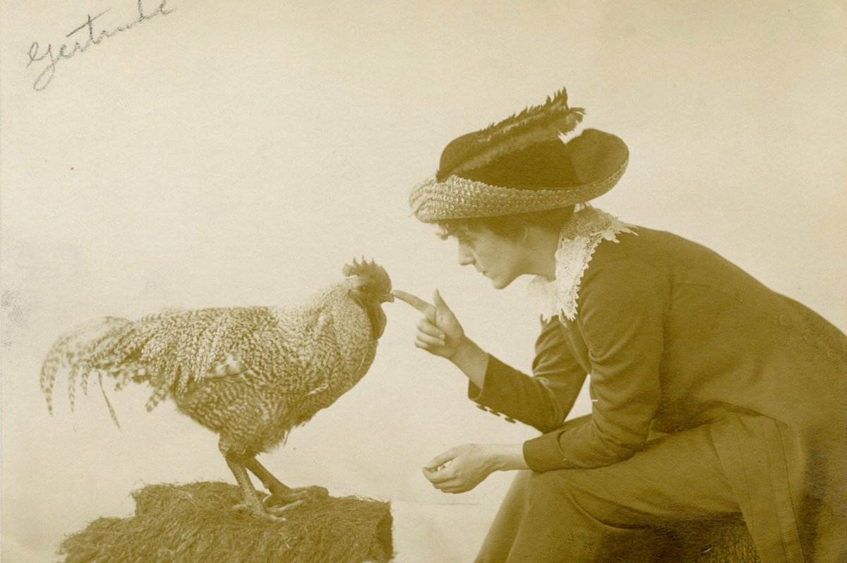 It's National Farm Animals Day! This naughty chicken is getting a stern talking to by vaudeville dancer and choreographer Gertrude Hoffmann. Click here for the full Gertrude Hoffmann collection guide. 🐥 bklynlib.org/3Tmm60m circa 1910; Gertrude Hoffmann collection, BCMS.0018