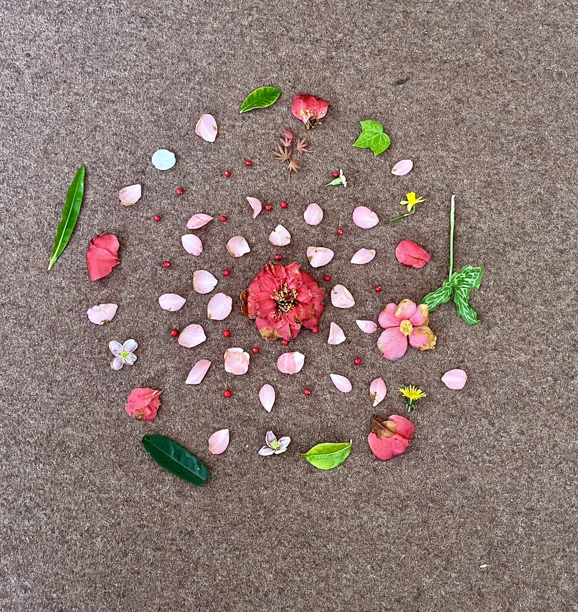 AiveenMullally's tweet image. Exploring how to nurture ecological connection through mindful walking in nature and creating nature mandalas with @MIE_ECE students. We’ve such a beautiful campus @MarinoInstitute 🌲 #SpiritualityoftheChild #ContemplativePractice