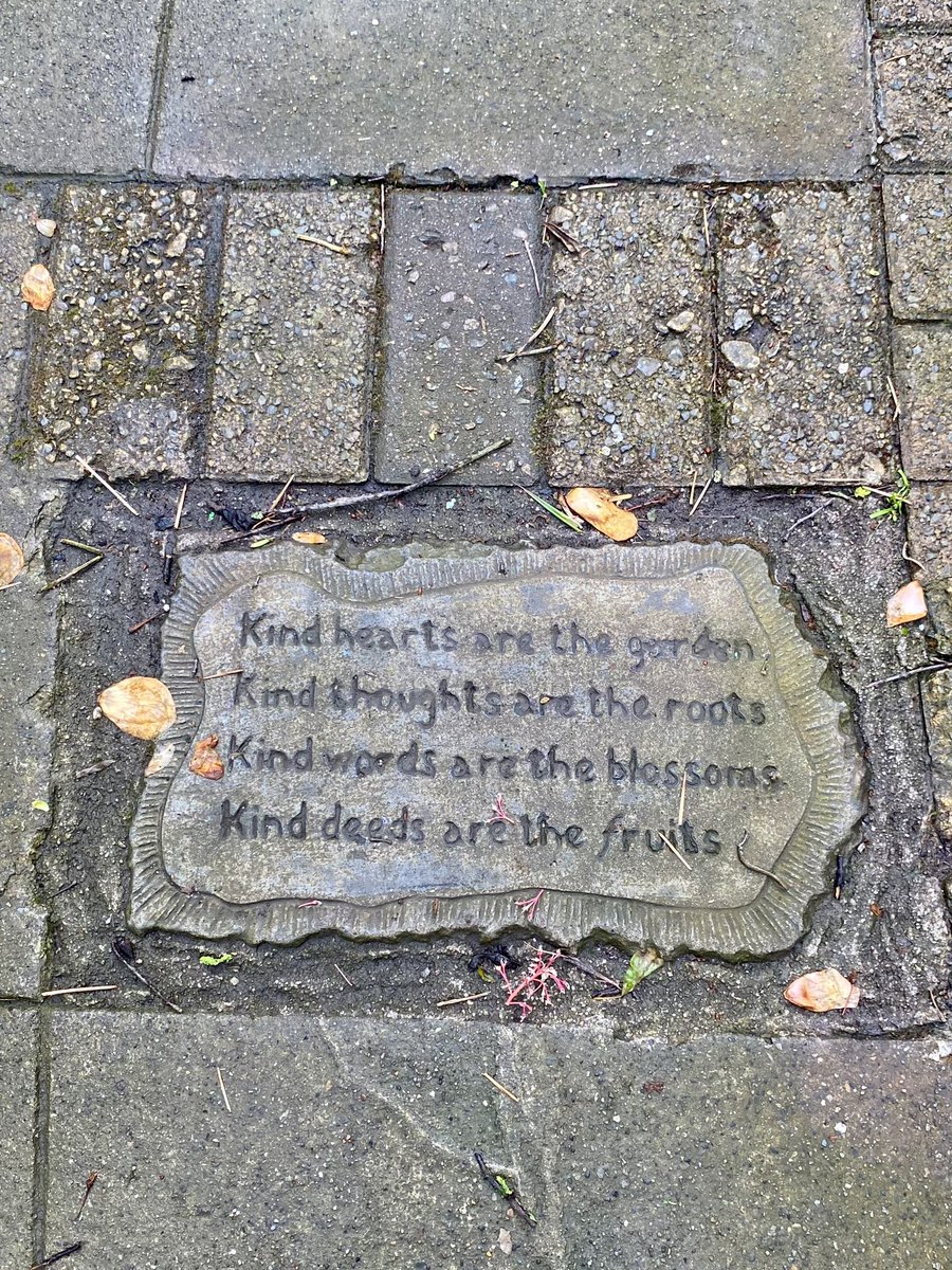 AiveenMullally's tweet image. Exploring how to nurture ecological connection through mindful walking in nature and creating nature mandalas with @MIE_ECE students. We’ve such a beautiful campus @MarinoInstitute 🌲 #SpiritualityoftheChild #ContemplativePractice