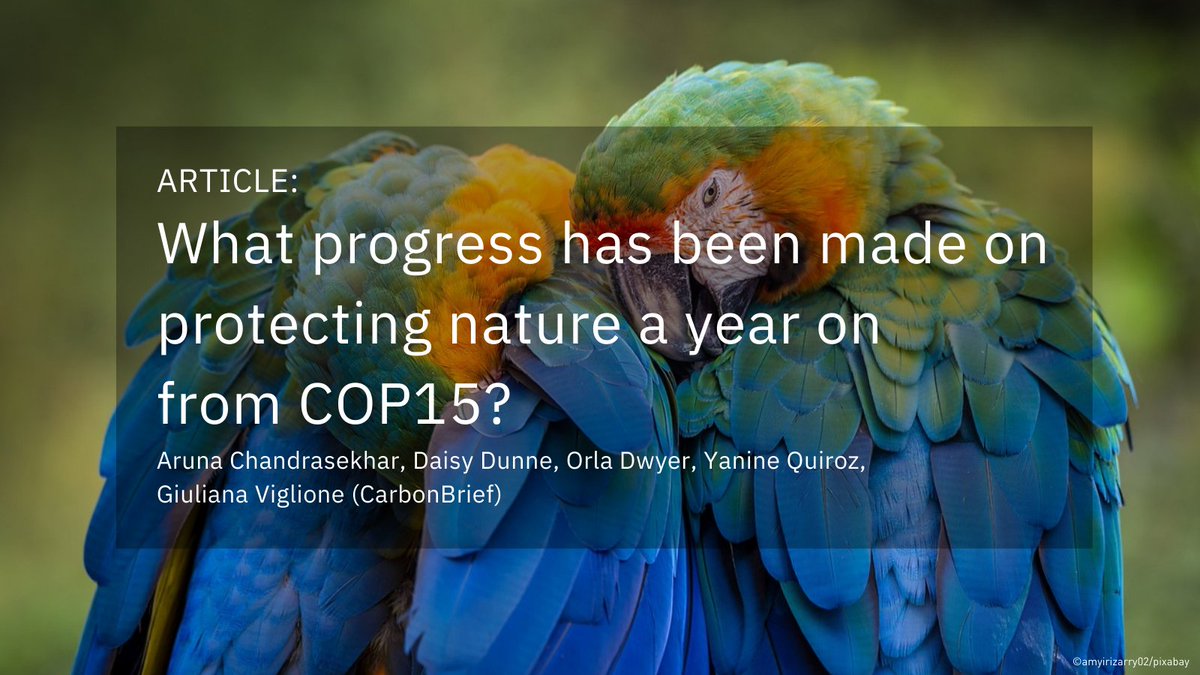 It has been more than one year since the gavel came down at #COP15, where almost every country in the world agreed on a plan to protect nature. 🌳🦜🐜🐒 @CarbonBrief analyses the progress & what needs to be done ahead of #COP16Colombia. 🔸adelph.it/CBCOP15🔸