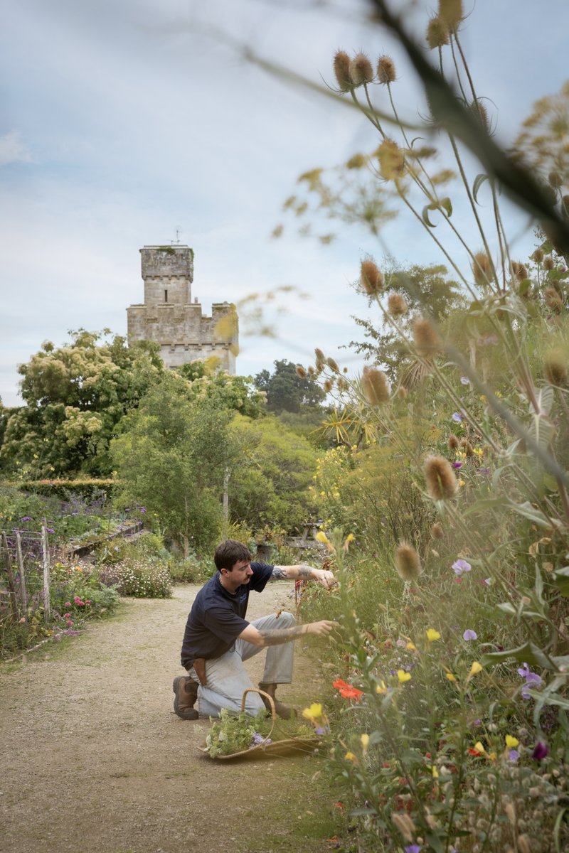 Lismore Castle Arts (@lca_gallery) on Twitter photo Join Lismore Castle gardener Lee Behegan for a talk to hear more about his journey as a gardener - Friday 12 April, 2024 lismorecastlearts.ie/whats-on/lee-b… Join Lismore Castle gardener Lee Behegan for a talk to hear more about his journey as a gardener - Friday 12 April, 2024 lismorecastlearts.ie/whats-on/lee-b…