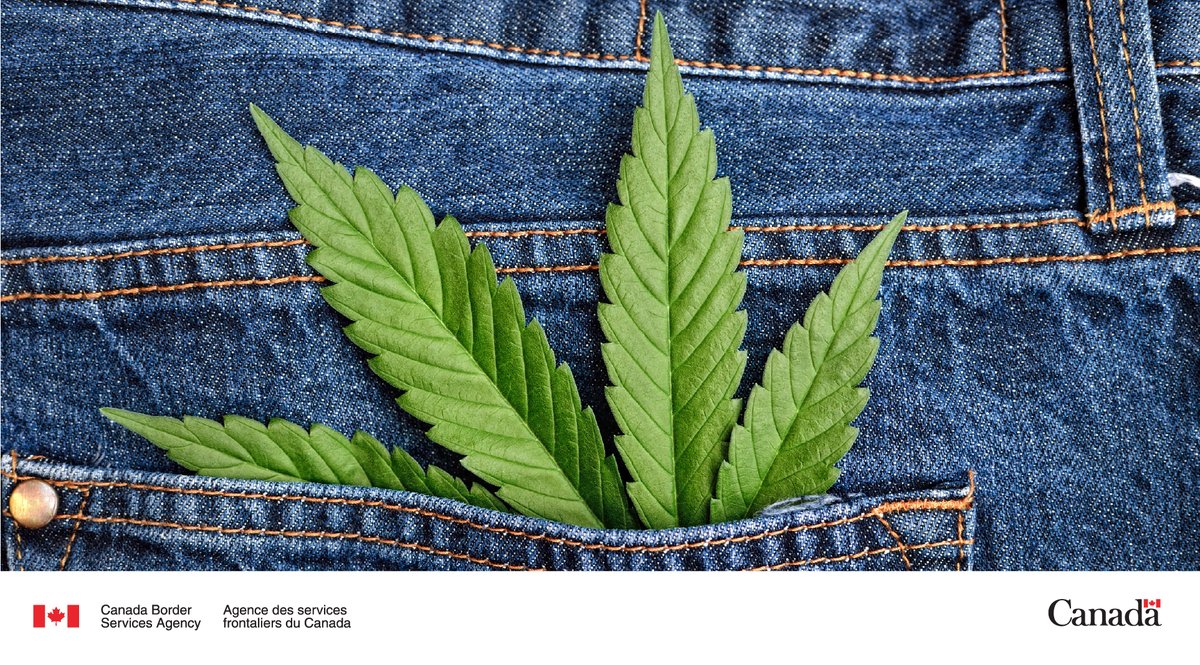 Passport? Check. Tickets? Check. Cannabis? Double-check that it stays home! While cannabis is legal in Canada, it’s a criminal offence to bring it across the border. Learn about cannabis-related offences: canada.ca/en/border-serv…