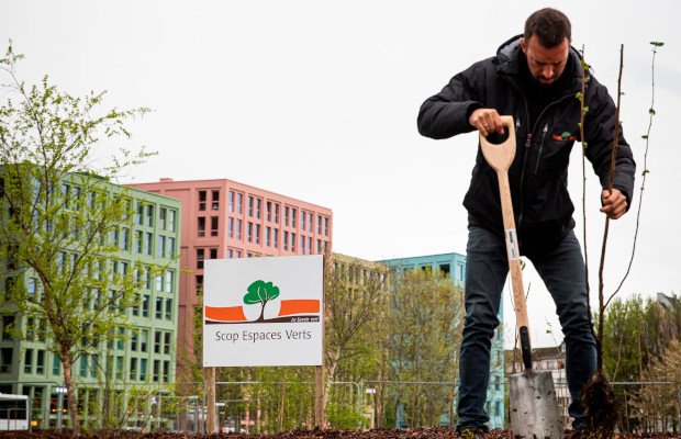 🌳#Environnement | la Ville de #Strasbourg poursuit ses efforts pour adapter la #végétation urbaine aux changements climatiques, à l’image du projet de #renaturation du parc de l’Etoile. #PlanCanopée @JeanneBarsegh @SuzanneBrolly ➡️urlz.fr/qe0N