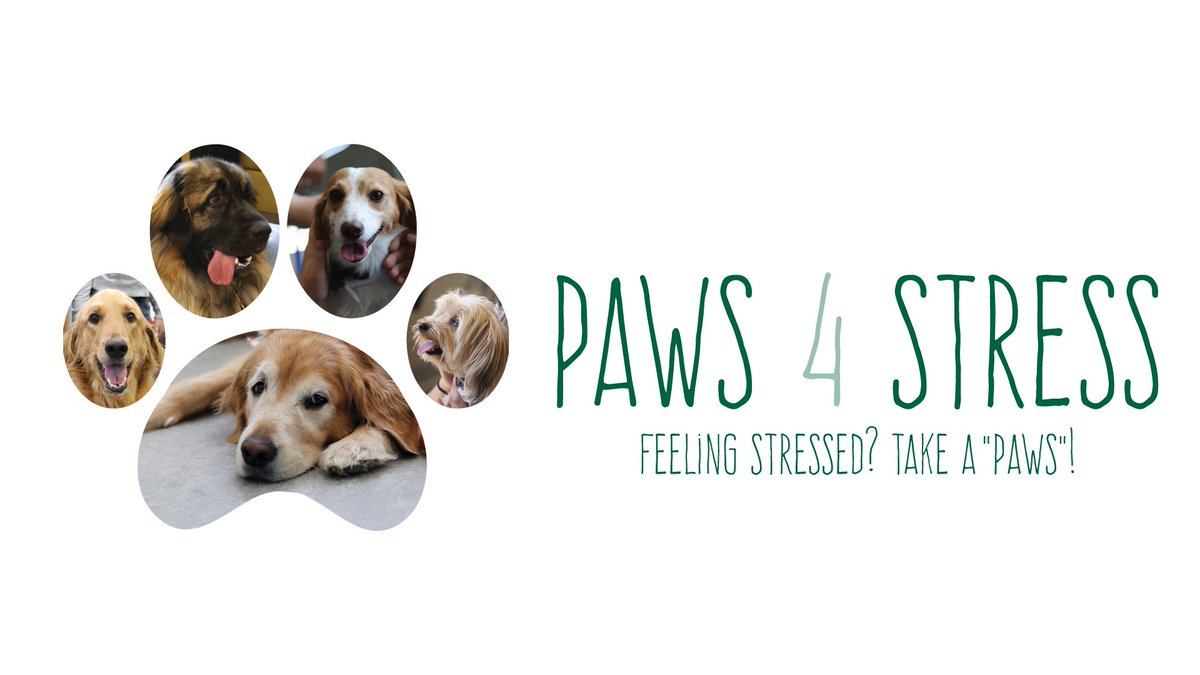 Feeling stressed about exams? Paws 4 Stress is here for you! ❤️🐶 Drop by the Student Commons Corner Lounge next Tuesday, April 16 between 12 pm and 1:30 pm to decompress with our sweet furry friends! Learn more: algqn.co/3Xum50RaRy8