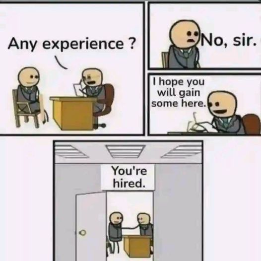 the dream of a junior programmer