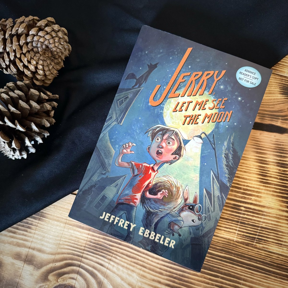 Things get squirrely when Jerry discovers that his new town is a sanctuary for were-creatures. JERRY, LET ME SEE THE MOON will be on shelves next month. To read this exciting new middle-grade novel early, enter the Goodreads giveaway below! #mglit ow.ly/jY3350RaNif