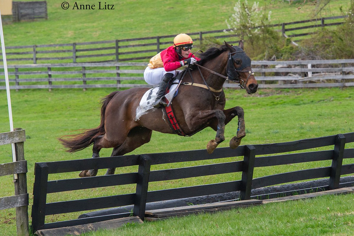 #MDBred Mr. Fine Threads continued his timber success last Saturday, taking the Edward S. Voss Memorial at the Elkridge-Harford Point-to-Point! This 10-year-old gelding, bred by William Harris, was a three-time winner over timber last year.